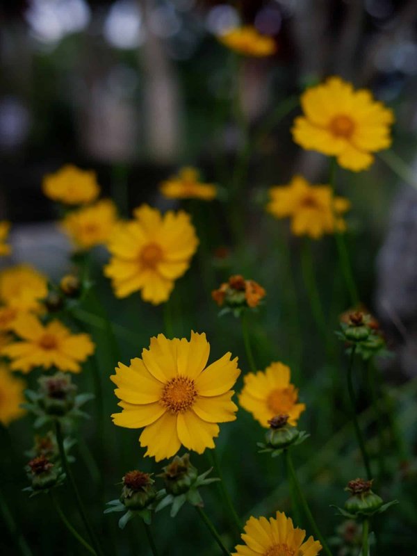 Wie kann man Bürokleidung mit ethisch produzierten Accessoires kombinieren?